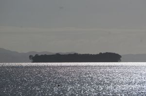 I really thought this was a bulk carrier ship from a distance, but then saw it was a forest covered island.